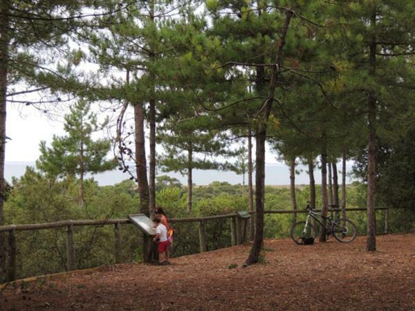 Camping Le Bois Verdon Saint-Jean-de-Monts Ngoại thất bức ảnh